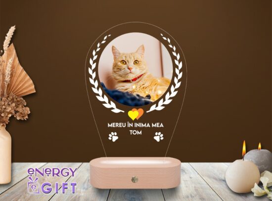 Lampă LED 3D personalizată prin printare cu poză – în amintirea pisicii tale