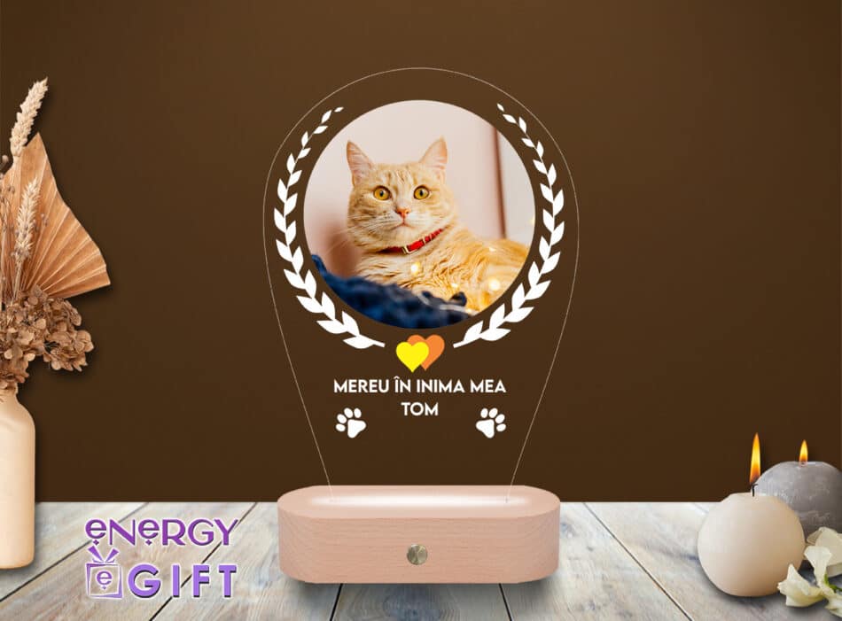 Lampă LED 3D personalizată prin printare cu poză – în amintirea pisicii tale