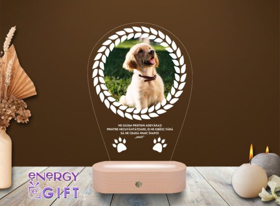 Lampă LED 3D personalizată prin printare cu fotografie – omagiu luminos pentru un animal iubit