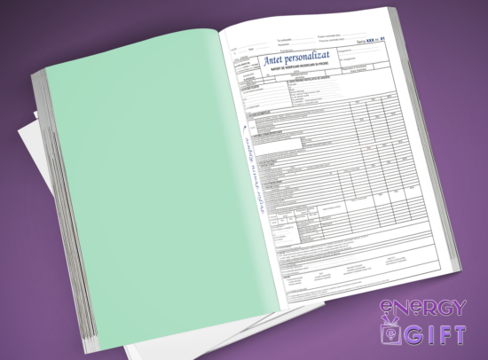 Tipizat verificări încercări și probe gaz personalizat A4 în 3 exemplare, cu logo și date firmă