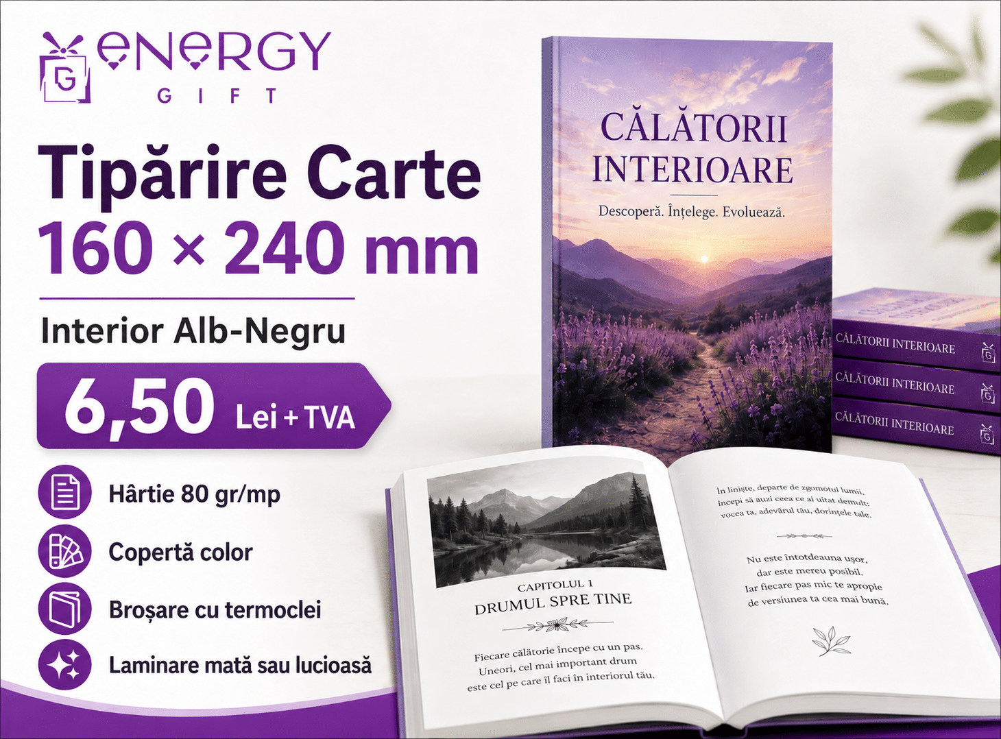 Tipărire Carte 160 × 240 mm – Interior Alb-Negru, Copertă Color