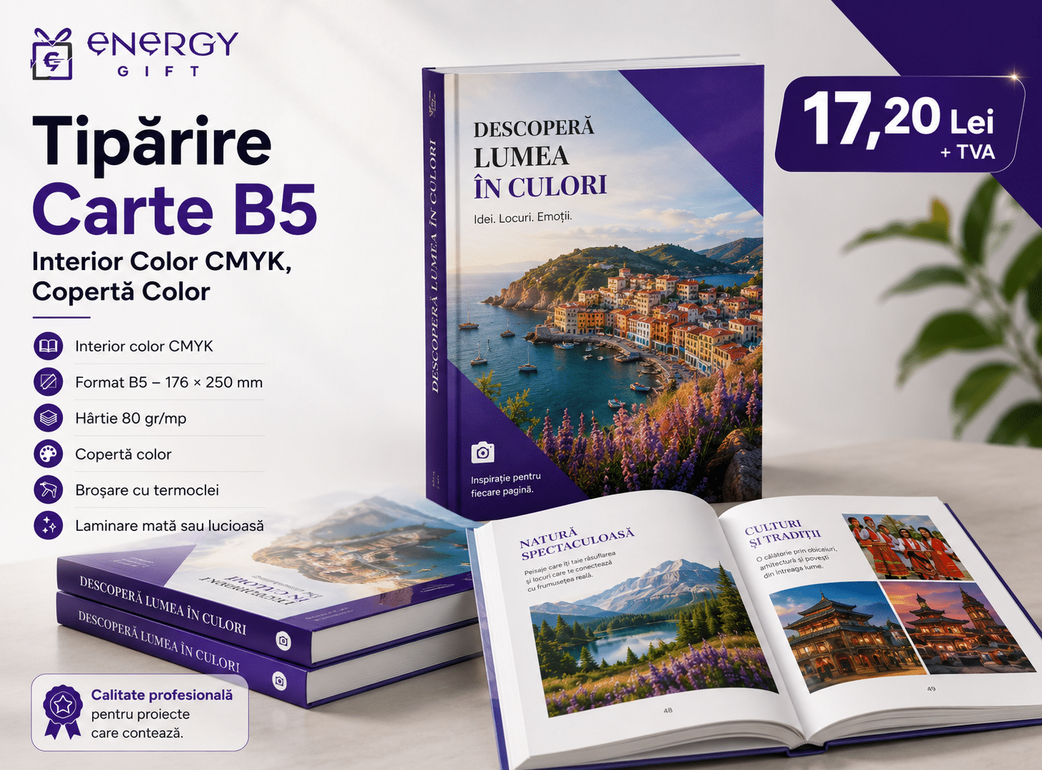 Tipărire Carte B5 – 176 × 250 mm, Interior Color CMYK